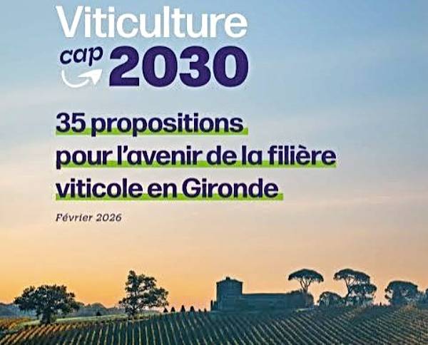 Plan Viticultura 2030