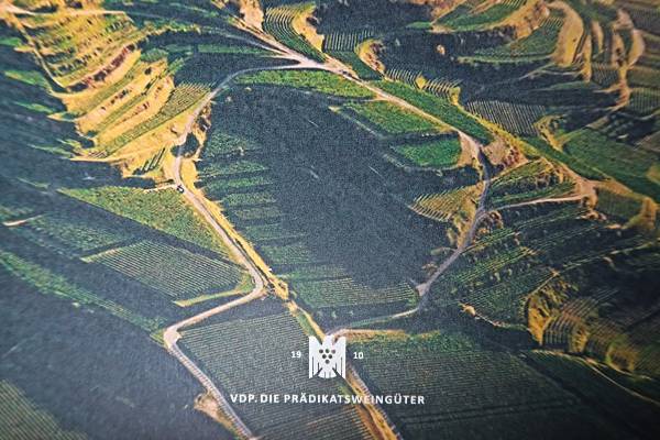 VINEDO VDP