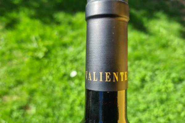 Valiente
